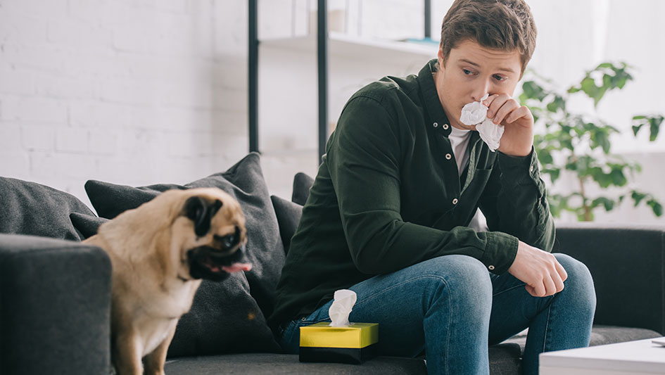 Installing an air purifier is one of the smartest ways to improve your residence’s indoor air quality. Learn more about the three smartest products. 